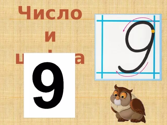 Число 9.8. Число и цифра 9. Число 9 цифра 9. Число и цифра 9 для дошкольников. Цифра 9 презентация.