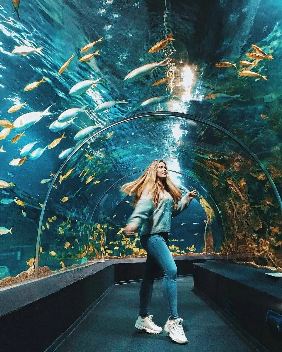 Aquarium перевод. Океанариум Sochi Discovery World Aquarium. Сочи Дискавери ворлд аквариум. Океанариум «Sochi Discovery World Aquarium» источник: https://www.puteshestvuy.com/kuda-shodit-v-Sochi. Курортный городок Адлер океанариум.