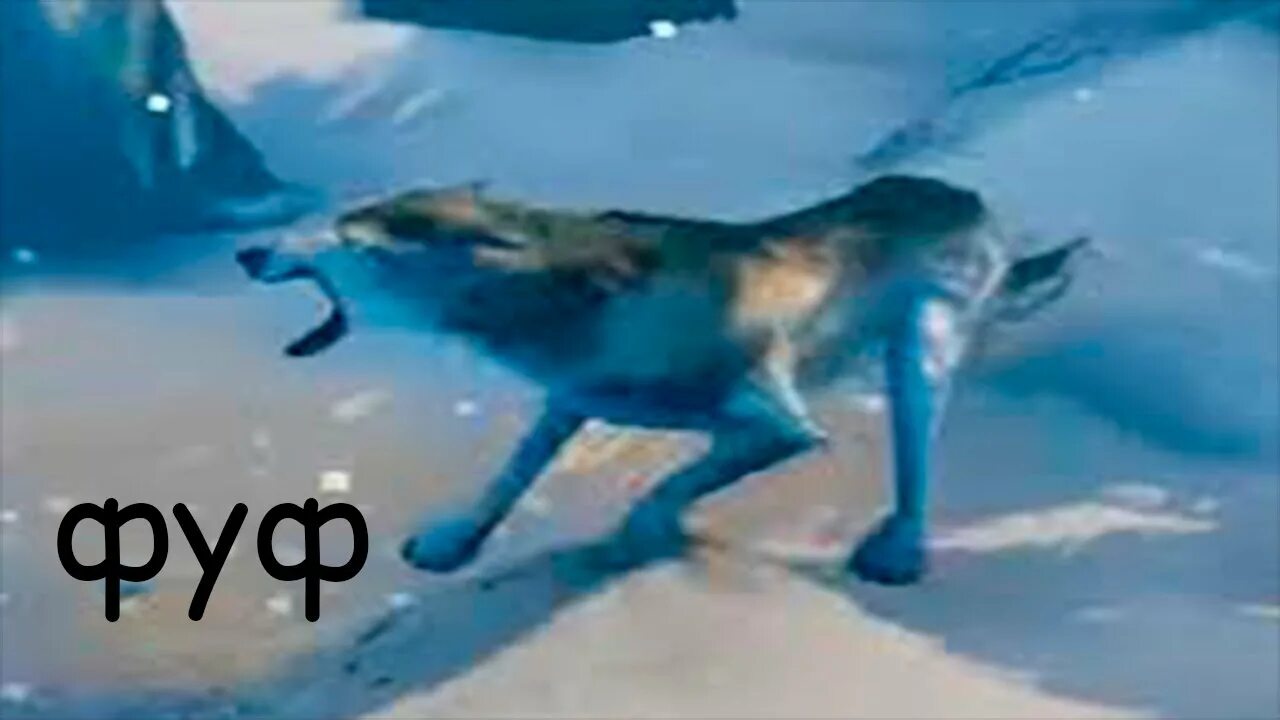 Загон для волков valheim. Быкозавр valheim. Вальхейм приручение волка. Вальхейм приручение волка. Как приручить волка в вальхейм.