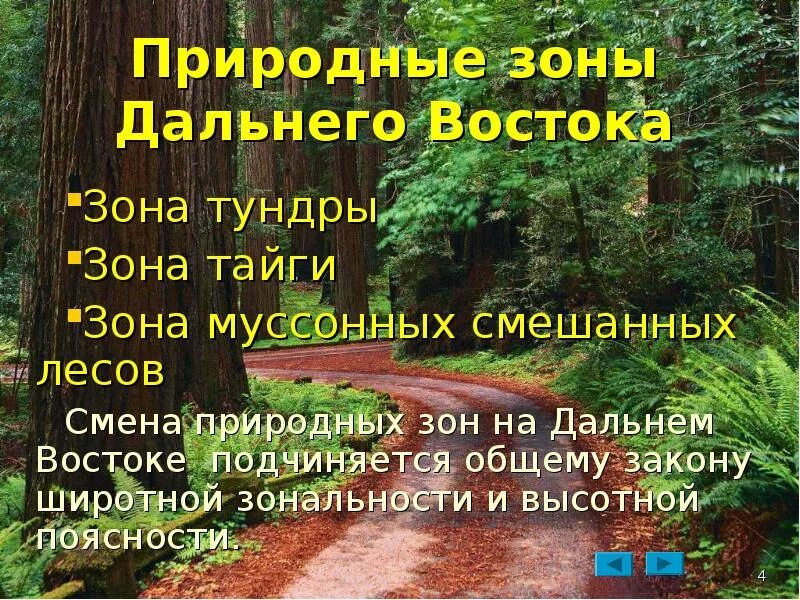Леса дальнего востока географическое положение. Смешанные леса дальнего востока. смешанные леса дальнего востока растения. муссонные леса дальнего востока. смешанные леса дальнего востока климат.