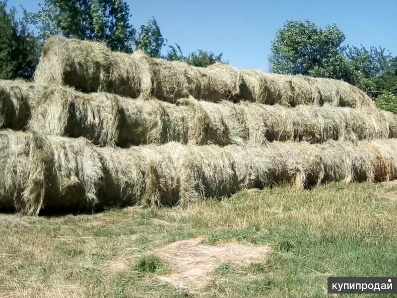 Сено в тюках. Сено в Краснодарском крае. Большие тюки. Тюки сена на Кавказе.