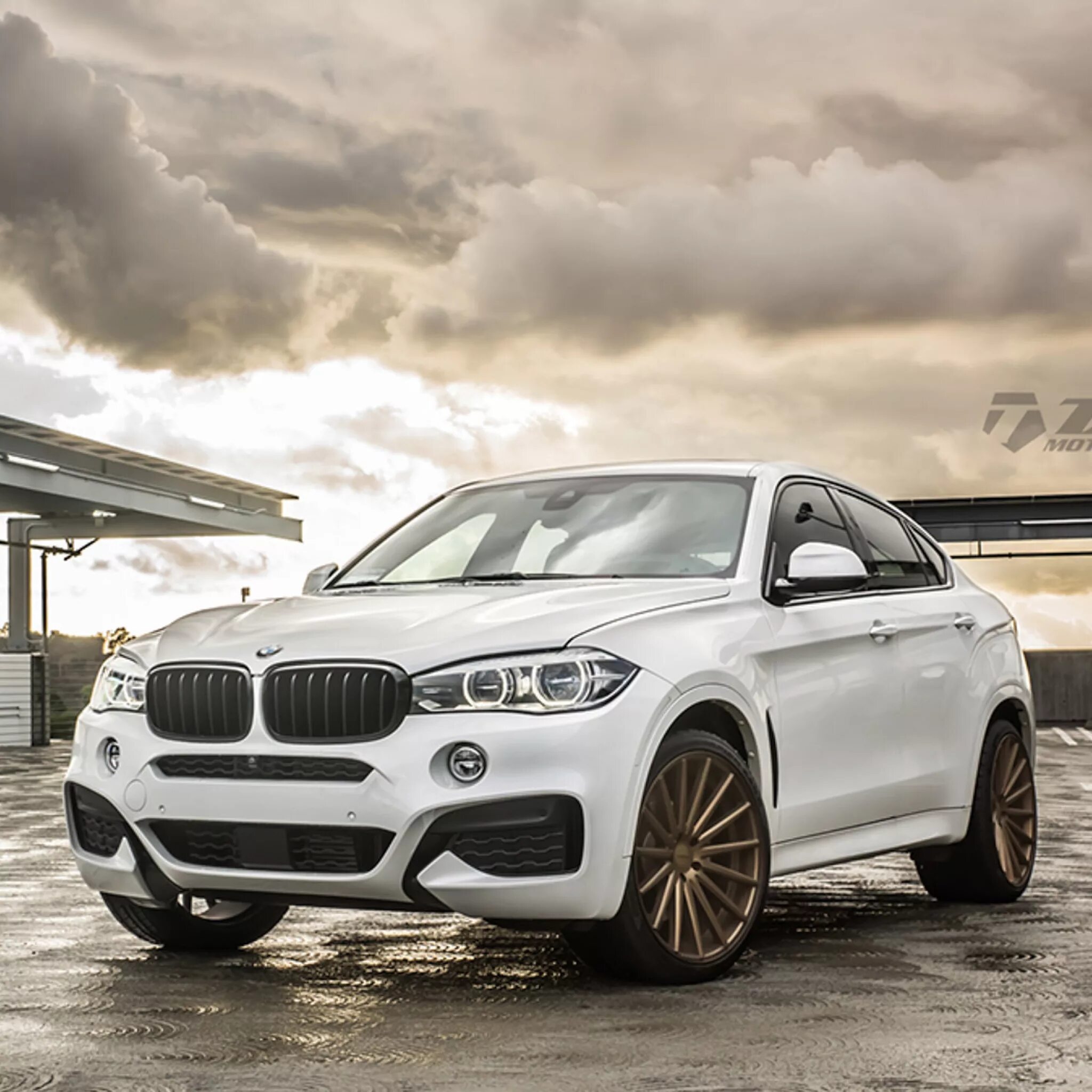 BMW x6. BMW x6 3. BMW x6 2015 дизель белый. Воссен на БМВ x6 2019.