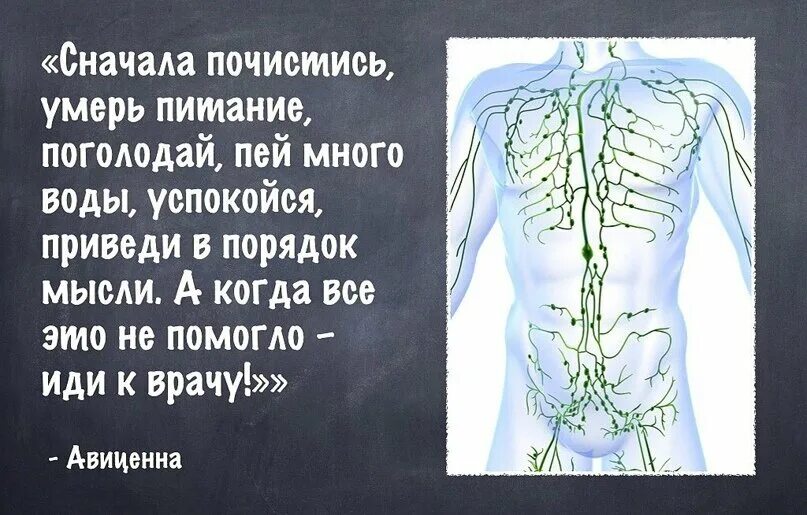 Авиценна здоровье. Высказывания о медицине. Высказывания о врачах и медицине. Афоризмы про медицину. Умные высказывания про болезни.