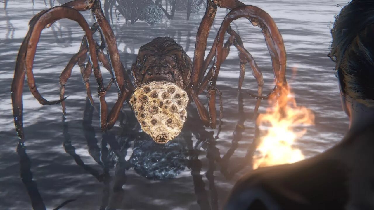 Лоскутик dark souls 2. Bloodborne пауки. Bloodborne пауки. Пауки из bloodborne. Лоскутик dark souls.