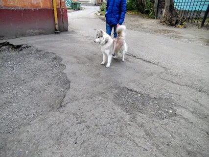 Солонечно талое красноярский край партизанский погода