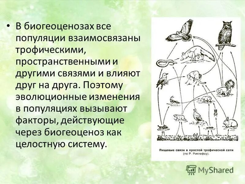 Неодарвинизм синтетическая теория эволюции. Факторы вызывающие изменения в популяциях. Факторы вызывающие изменения в популяциях. Факторы влияющие на генофонд. Дрейф генов в популяции.