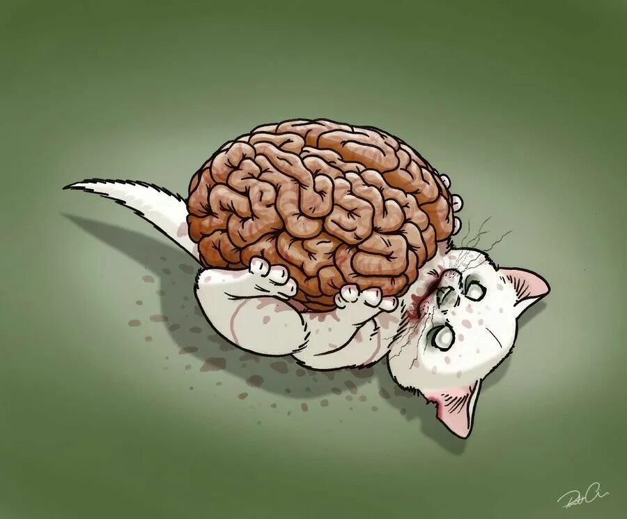 Fun brain. Мозг рисунок. Смешной мозг. Смешные мозги.