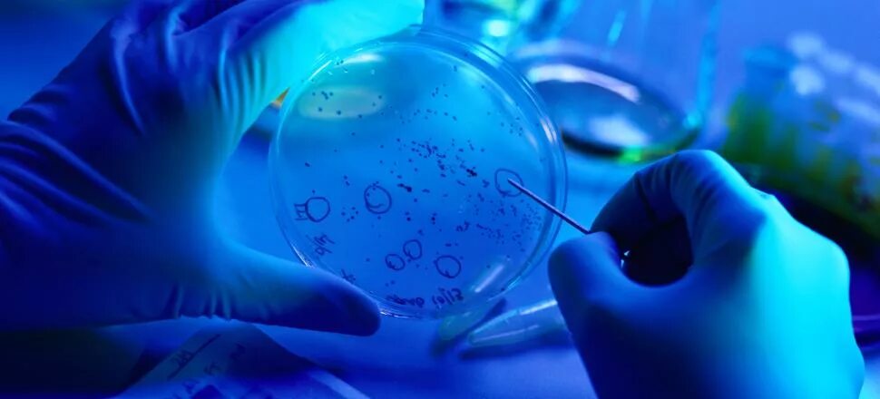 Микробиология и биотехнология. Микробиологический Синтез. Синяя биотехнология. Биотехнология микробиология. Микробный Синтез в биотехнологии.