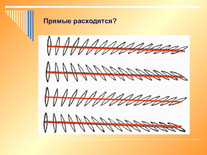 Расходящиеся прямые. Параллельные расходятся. Анимация для проекта на тему параллельные прямые. Параллельные прямые в биологии.