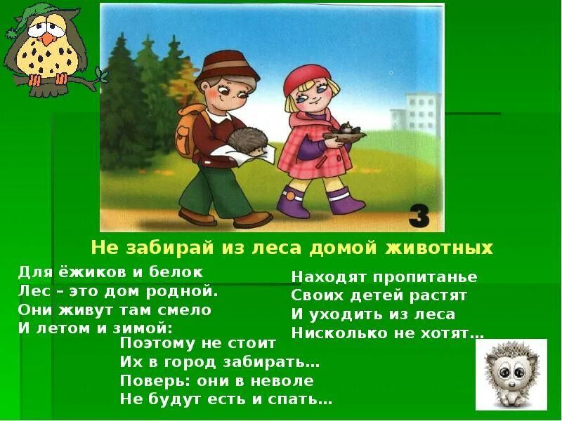 Правила поведения в лесу. Неправильное поведение в лесу. Не забирать животных из лесу. Правила поведения на природе.