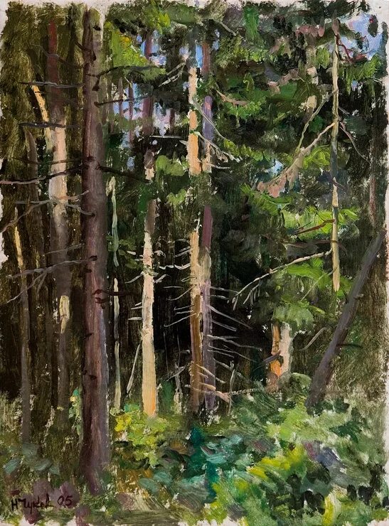 картина шишкина сосны освещенные солнцем. художник александр булаков картины. шишкин сосновый лес 1885. ели освещенные солнцем. художника олеси глазьевой картины.