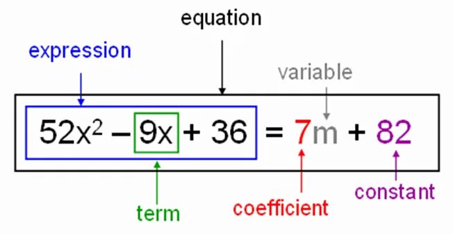 Variable expression в математике. Algebraic expression. Constant term. Parts of polynomial Algebraic expressions.