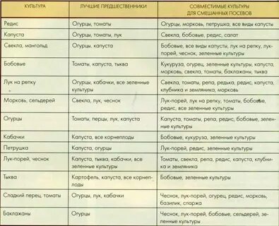 Чеснок после помидор можно сажать