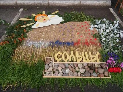 День сольцов