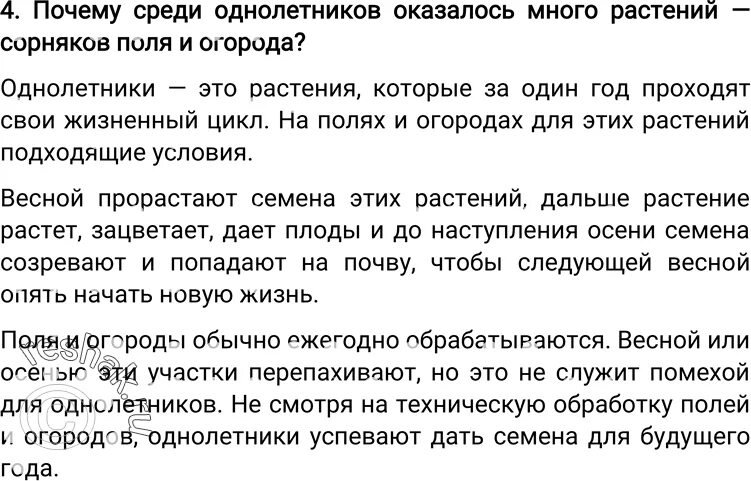 Почему среди однолетников оказалось много растений сорняков. Почему среди однолетников оказалось много растений сорняков поля. почему среди однолетников оказалось много. почему среди однолетников оказалось много растений. почему среди однолетних трав много сорняков.