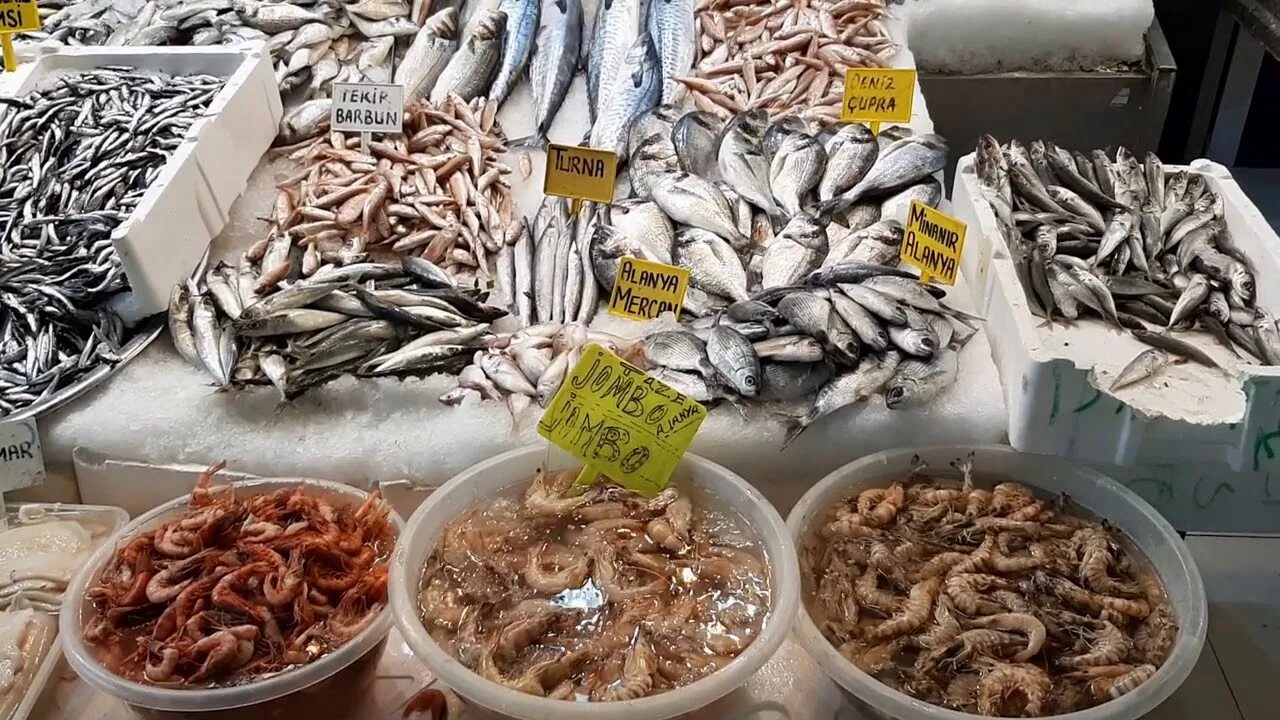 Где рыбный рынок на волне. Рыбный рынок в Алании Турция. Рыбный базар Алания. Мерсин рыбный рынок. Рыбный рынок Махмутлар.