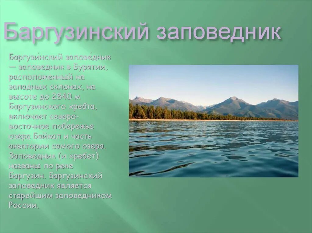 Заповедники россии доклад 8 класс. Баргузинский заповедник России. Заповедники России Баргузинский заповедник. Рассказ о заповеднике России. Сообщение о заповеднике.