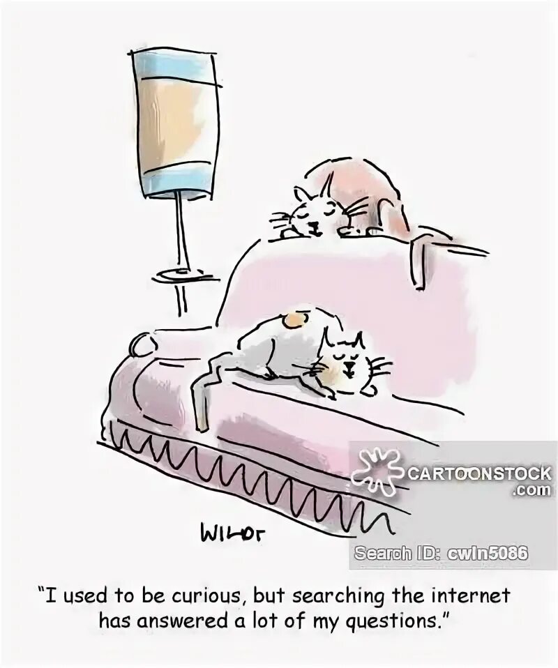 Curiosity killing the cat. Curiosity Killed the Cat русский эквивалент. Пословица Curiosity Killed a Cat.. Curiosity Killed the Cat иллюстрация. Curiosity Killed the Cat Мем.