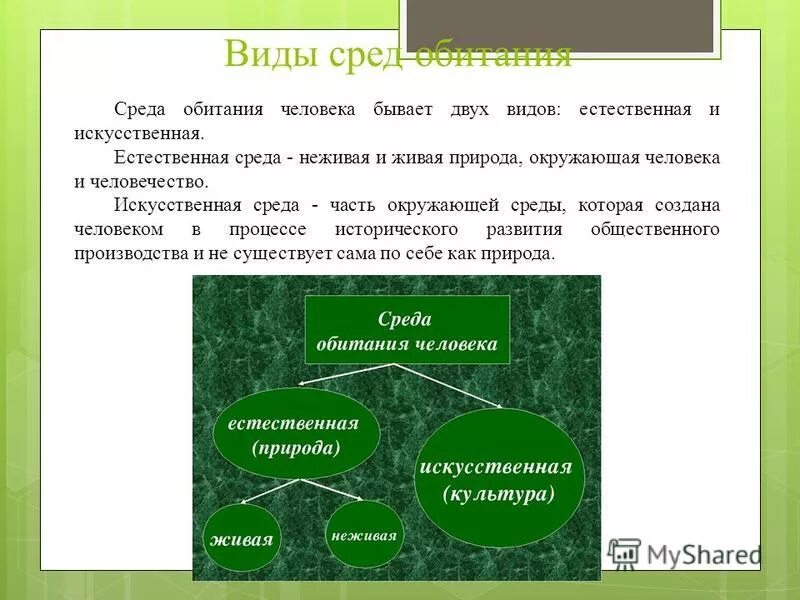 Состояние здоровья населения среды обитания человека. Среда обитания человека. Человек и окружающая среда обитания. Естественная и искусственная среда обитания.