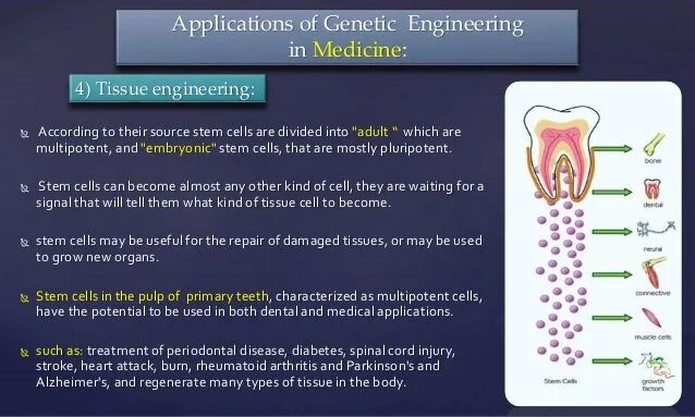 Recent applications. What are the applications of genetic engineering. a.r.laspada генетик. recent application in engineering. harm of gmos.