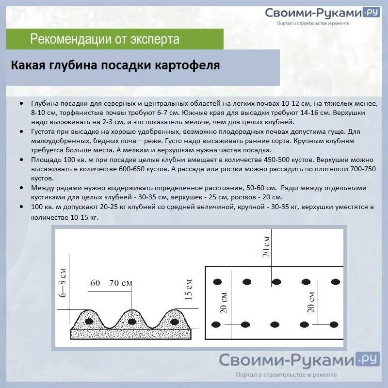 Какое расстояние между рядами при посадке картофеля. Какое расстояние посадки картофеля между рядами. Расстояние между картошкой при посадке в ряду. Какое оптимальное расстояние между рядами картофеля при посадке.