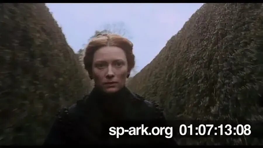 приключения 2024