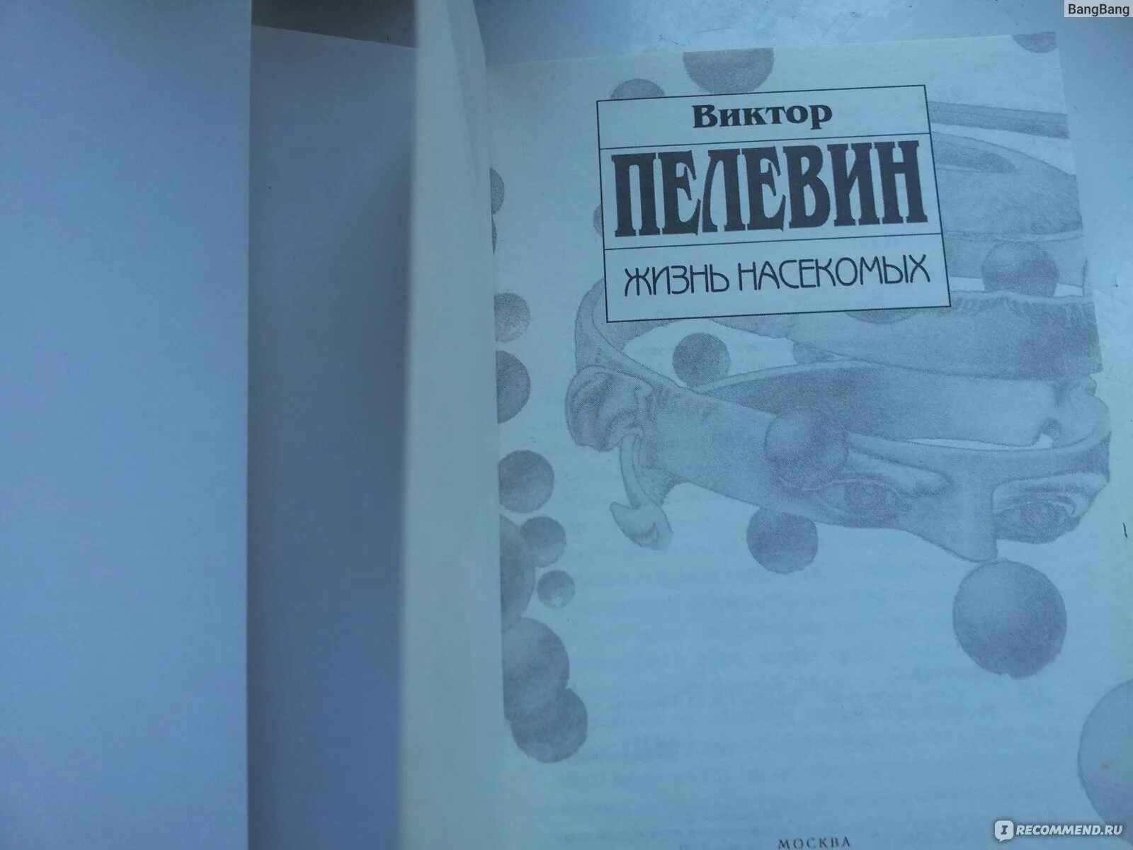 Пелевин читать жизнь. Пелевин в. "жизнь насекомых". Жизнь насекомых Пелевин иллюстрации. Жизнь насекомых Пелевин содержание.