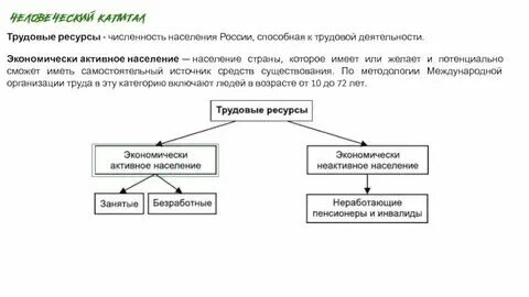 Какие категории населения относятся к рабочей силе