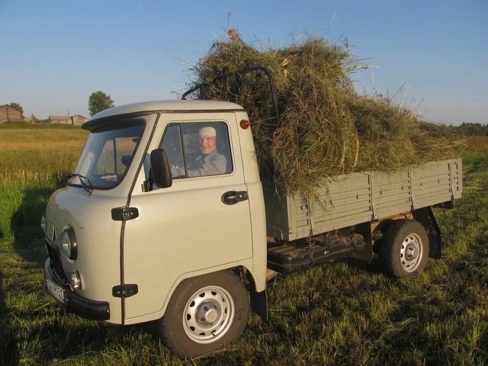 Купить уаз бортовой цена. УАЗ головастик бортовой 3303. УАЗ 3303 бортовой грузовой. УАЗ бортовой новый 3303. УАЗ 3303 бортовой пикап.