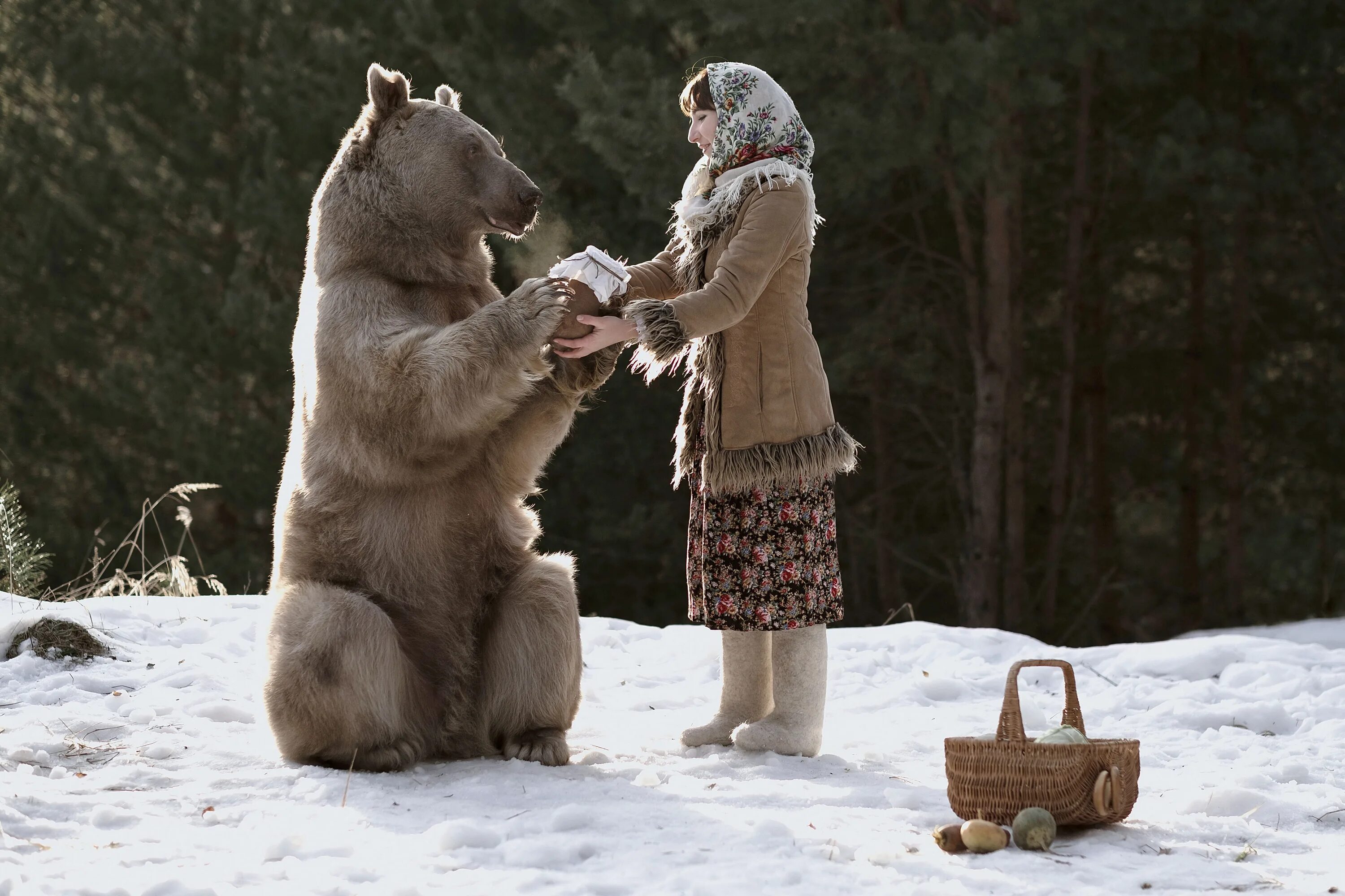 Русский медведь и волк