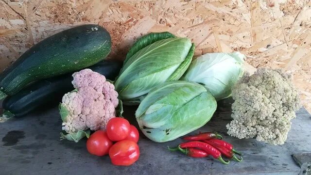 Как резать кабачок для рагу. Цветная капуста. Кабачки и цветная капуста. Капуста цукини. Морковь капуста кабачок.