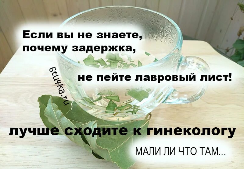 Как вызвать месячные за 1 день. Отвар для месячных. Народные средства при задержке месячных. Отвар лаврового листа для месячных при задержке. Отвар лаврового листа для вызывания месячных.