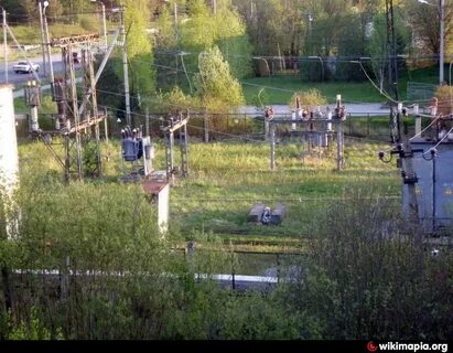 Тосненское гп