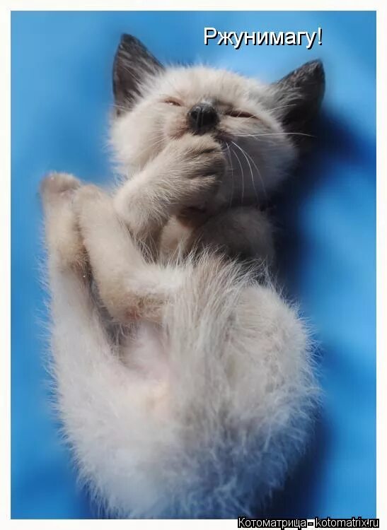 Спи уже давай. Ну ка спать. Я спать картинки. Ну дайте поспать. Ну давай поспим.