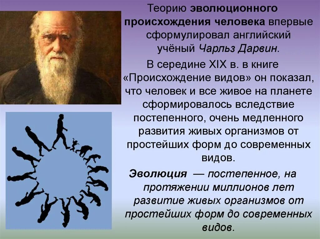 Происхождение человека. Теории происхождения человека. Эволюционная теория возникновения человека. Гипотезы происхождения человека.