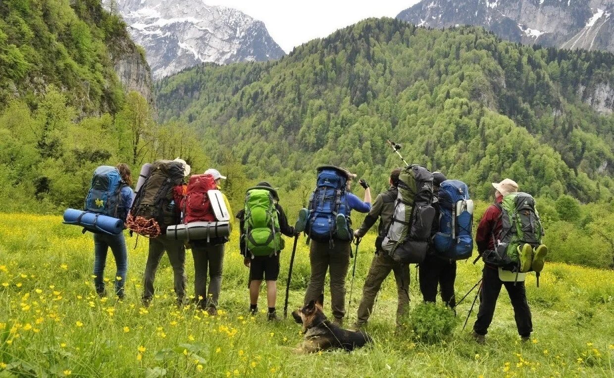 Туристско экскурсионные организации. Пешеходный туризм. Поход. Туристический поход. Пеший поход.