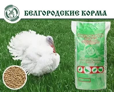 Комбикорм белгородские корма