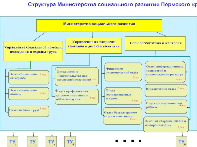 Структуру развивают