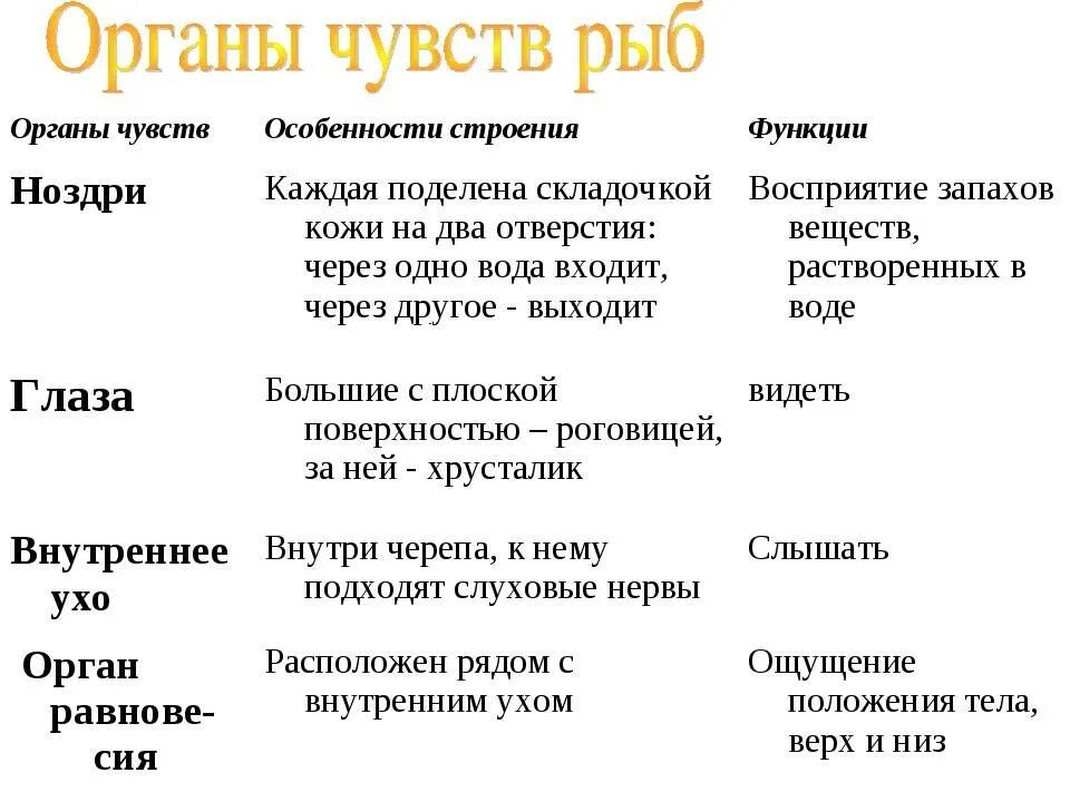 Строение рыбы 7 класс таблица. Особенности строения органов чувств у рыб. Органы чувств рыбы таблица 7 класс биология. Органы чувств рыб кратко. Органы чувств у рыб 7 класс.