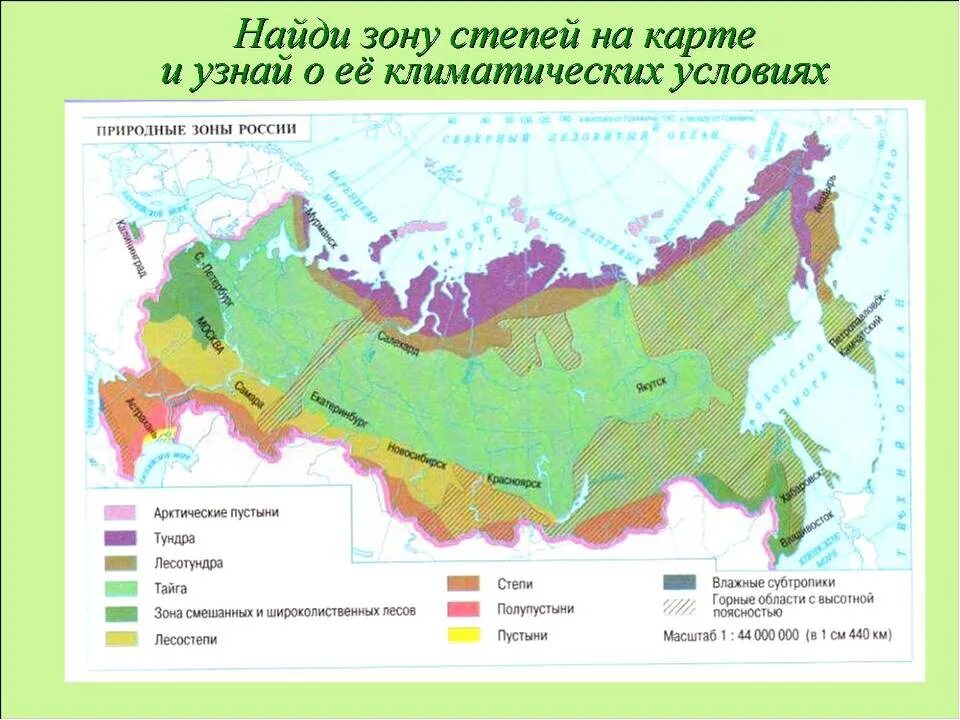 Сопоставьте карту природных зон россии. Природные зоны России лесотундра климат. Географическое положение лесостепи в России на карте. Тундра природная зона расположение в России. Степь на карте природных зон.
