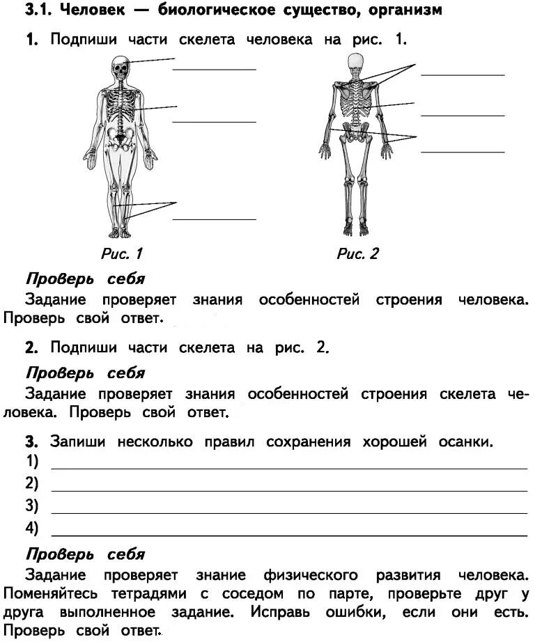 Тест человек в мире культуры 8 класс. Задание по окружающему миру 4 класс человек. Человек по биологически. Кружок по окружающему миру 4 класс. Окружающий мир проверка знаний задания.