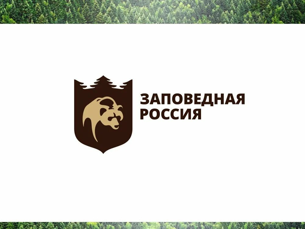 Рисунок символ всероссийский день заповедников и национальных. Символы заповедников россии. федеральная система оопт заповедная россия. заповедная россия логотип. день заповедников и национальных парков символ.