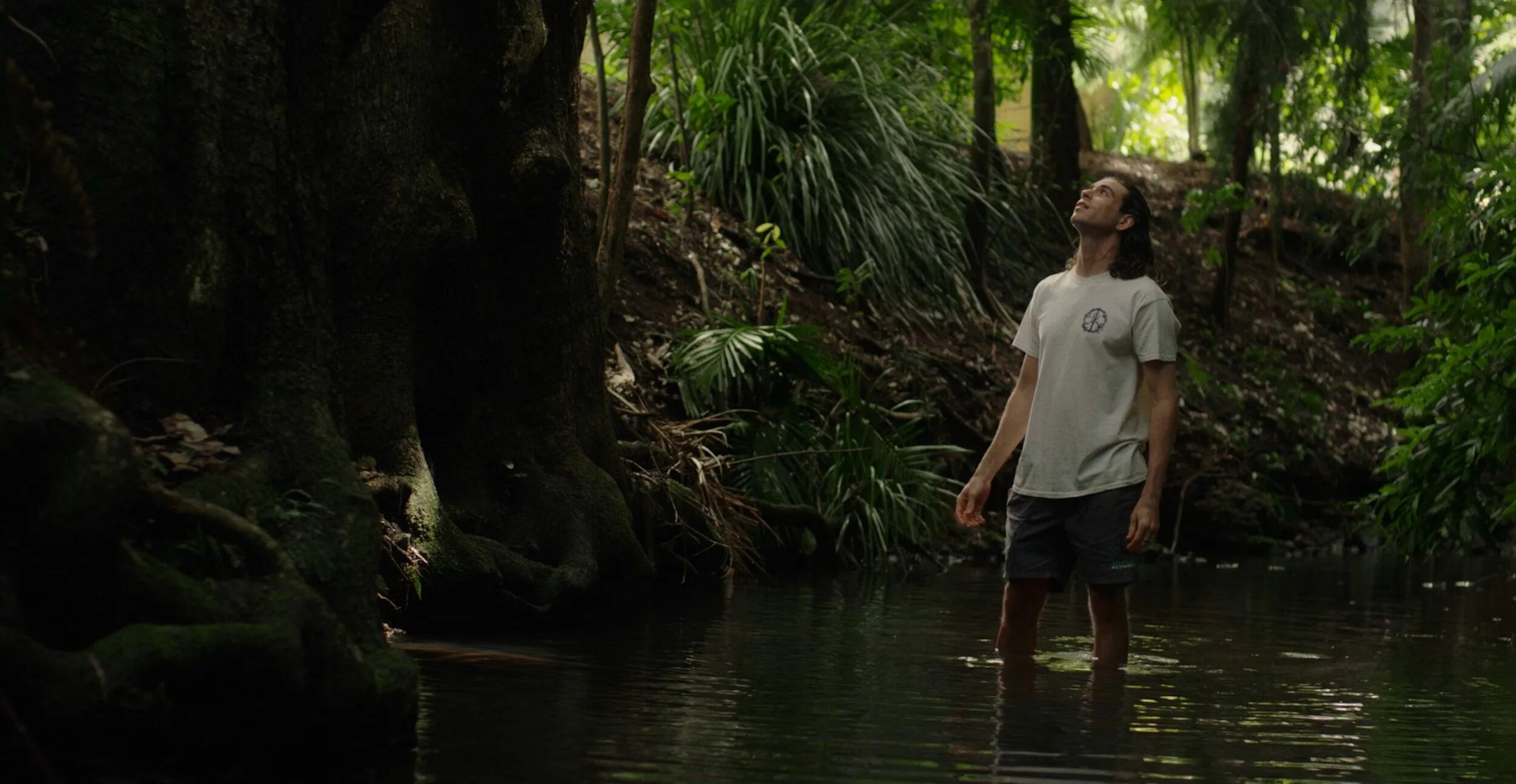 In hearts wake. Green is the new black. in hearts wake - green is the new black.