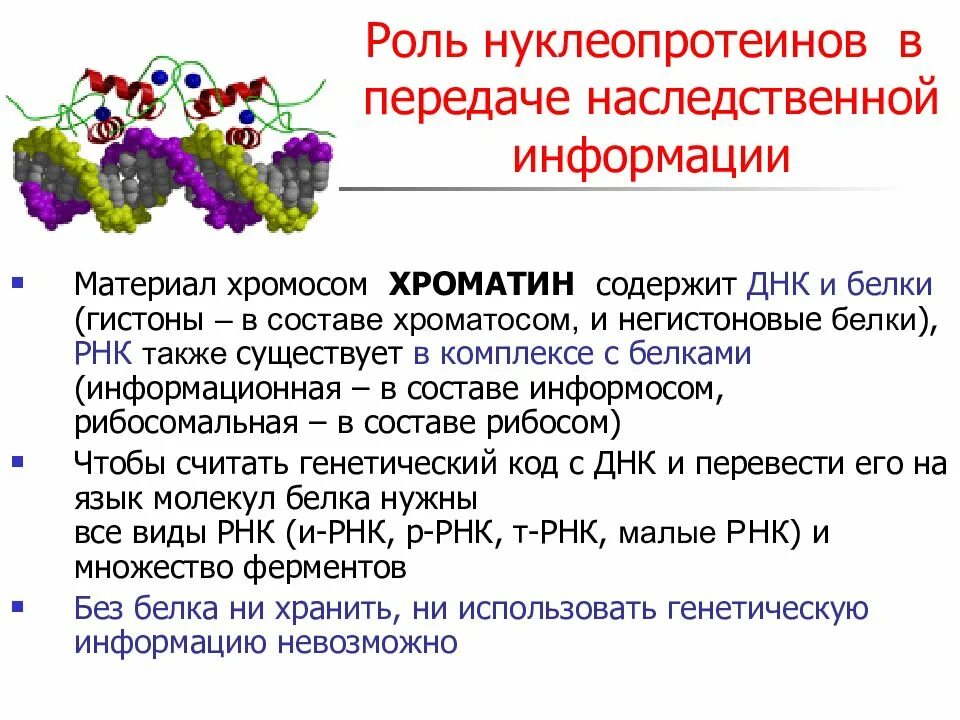 Нуклеиновые кислоты рнк функции. Роль ДНК В наследственности. Роль нуклеиновых кислот в передаче генетической информации. Структура наследственной информации. Роль ДНК И РНК В передаче наследственной информации.