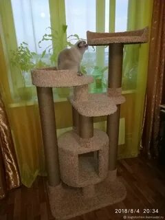 Домик когтеточка для мейн куна