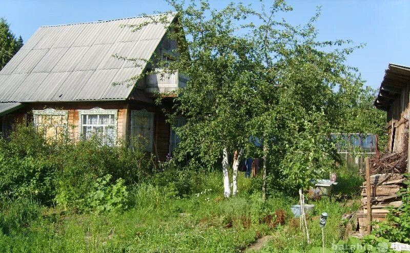 Русь садоогороды удмуртия. Сонт италмас ижевск садоогород. Садоогороды в ижевске. Авито недвижимость садоогороды ижевск. Садоогород красная горка.