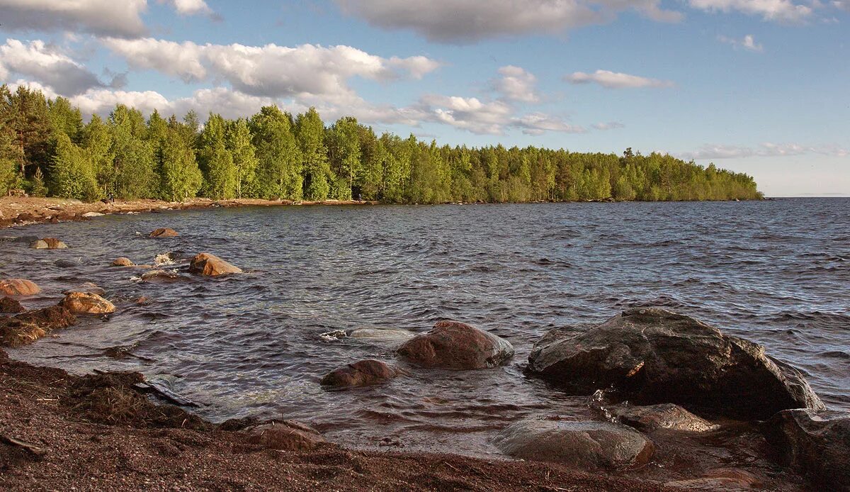 проект дома ладога. воньга (река). жк ладожский берег морозова планировка. берег ладоги сосны. природная баня ладога.