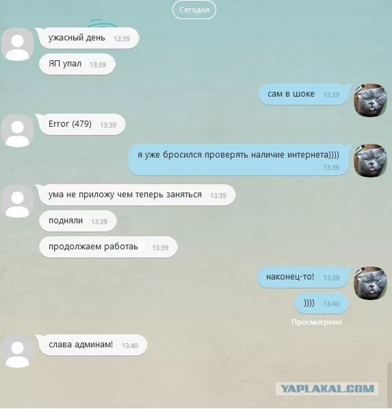 Переписка viber. Вайбер переписка. Скрины смешных переписок. Смешные переписки коллег. Переписка с коллегой.