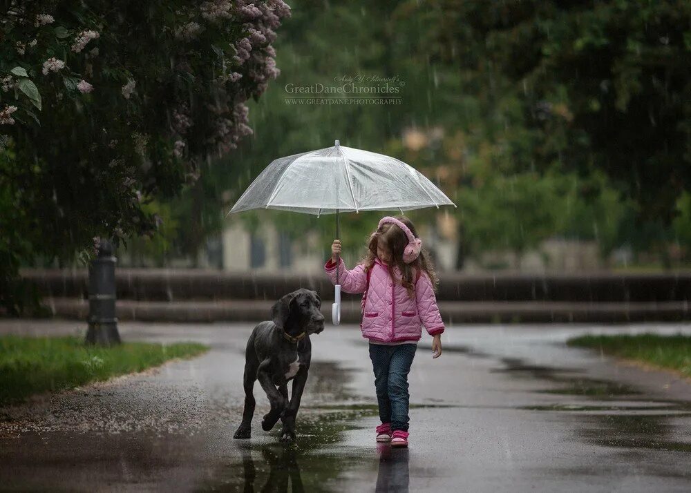 Можно ли гулять в дождь. Собака под зонтом. Щенок под зонтом. Собака под дождем. Девочка с собакой под зонтиком.