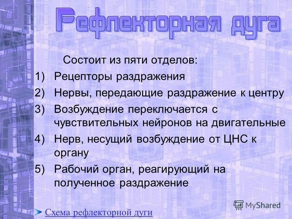Состоит из пяти отделов. Состоит из пяти отделов. Строение среднего мозга. Шейный отдел позвоночника строение и функции позвонков. Позвоночник птиц состоит из пяти отделов.